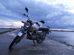 RX100